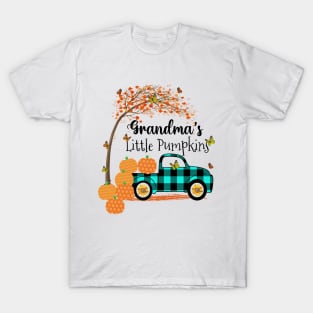 Grandmas Little Pumpkins Shirt, Nana Little Pumpkins Gifts for Mom Mother T-Shirt